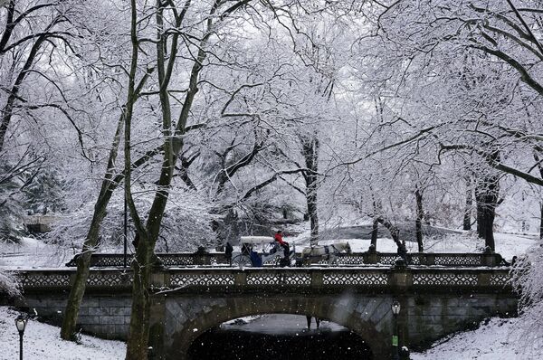 Повозка с лошадью пересекает мост в центральном парке на Манхэттене во время снегопада, Нью-Йорк, США. - Sputnik Грузия