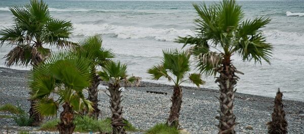 Побережье Анаклия. Архивное фото - Sputnik Грузия