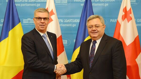Председатель палаты представителей парламента Румынии Валериу Згоня и Давид Усупашвили - Sputnik Грузия