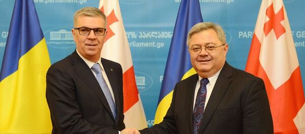 Председатель палаты представителей парламента Румынии Валериу Згоня и Давид Усупашвили - Sputnik Грузия