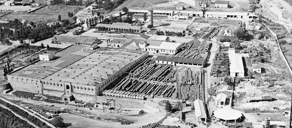 თელავი თელავი - Sputnik საქართველო