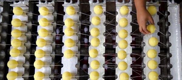 Женщина работает на фабрике по изготовлению ароматических свечей Цитронелла в Бразилии, которые используются для борьбы с комарами, разносящими вирус Зика. - Sputnik Грузия