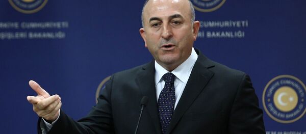 მევლუთ ჩავუშოღლუ - Sputnik საქართველო