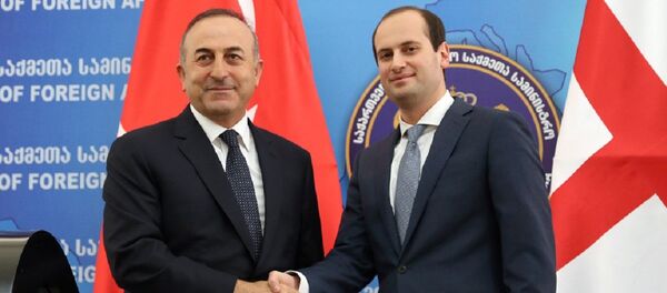 საქართველოსა და თურქეთის საგარეო საქმეთა მინისტრები - Sputnik საქართველო