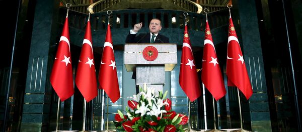რეჯებ ტაიპ ერდოღანი რეჯებ ტაიპ ერდოღანი - Sputnik საქართველო