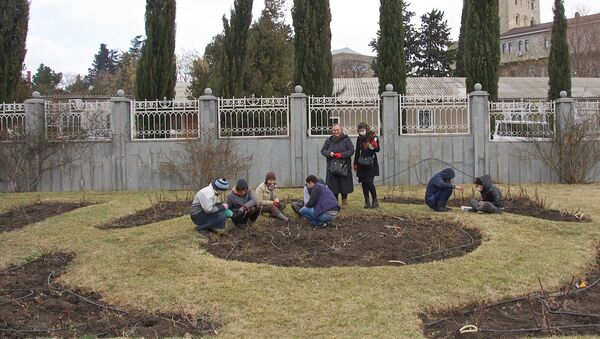 В саду Патриархии Грузии людям дарили черенки роз - Sputnik Грузия