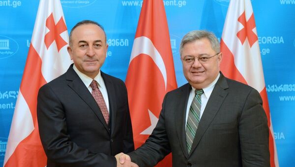 Председатель парламента Грузии Давид Усупашвили и министр иностранных дел Турции Мевлут Чавушоглу - Sputnik Грузия