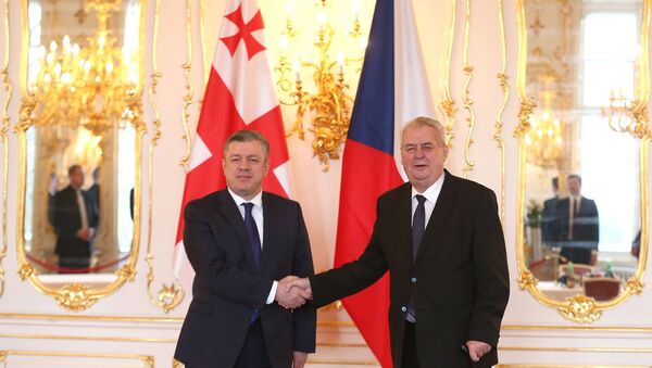 Глава правительства Грузии Георгий Квирикашвили и президент Чехии Милош Земан - Sputnik Грузия