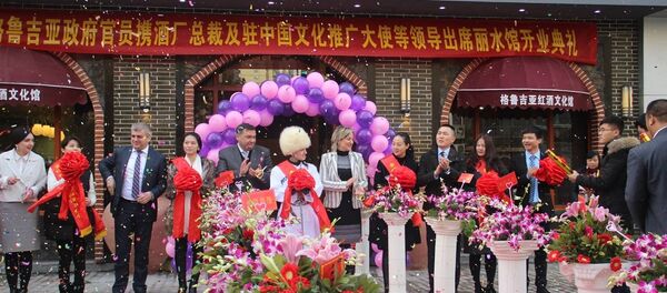 Открытие Центра грузинского вина в Китае - Sputnik Грузия