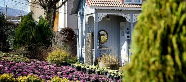 Садовый центр Гардения - Sputnik Грузия