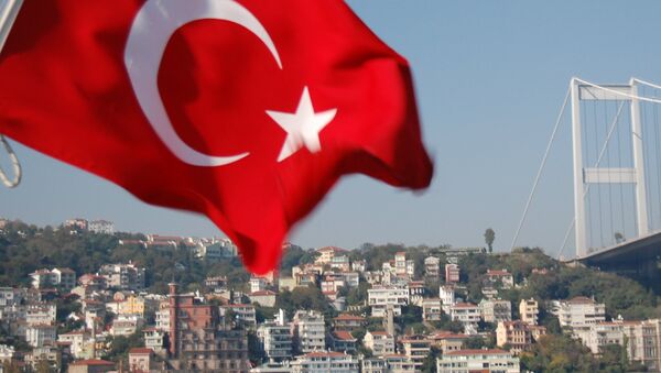 Мост через Босфор и флаг Турции - Sputnik Грузия