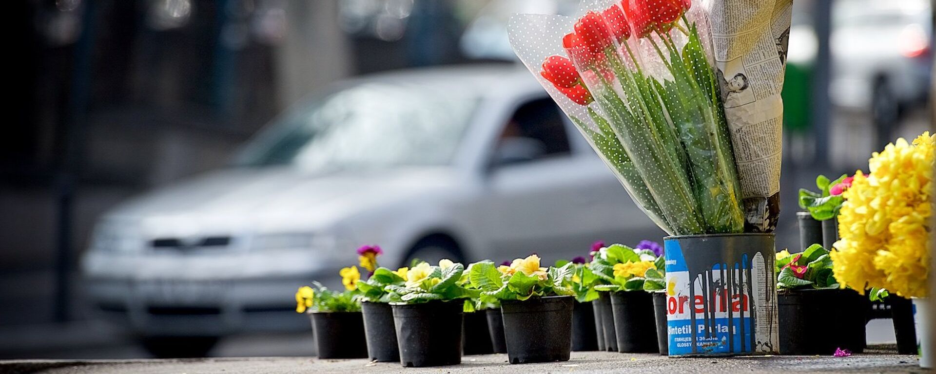 Цветы продаются на улицах столицы Грузии в День матери - Sputnik Грузия, 1920, 02.03.2021