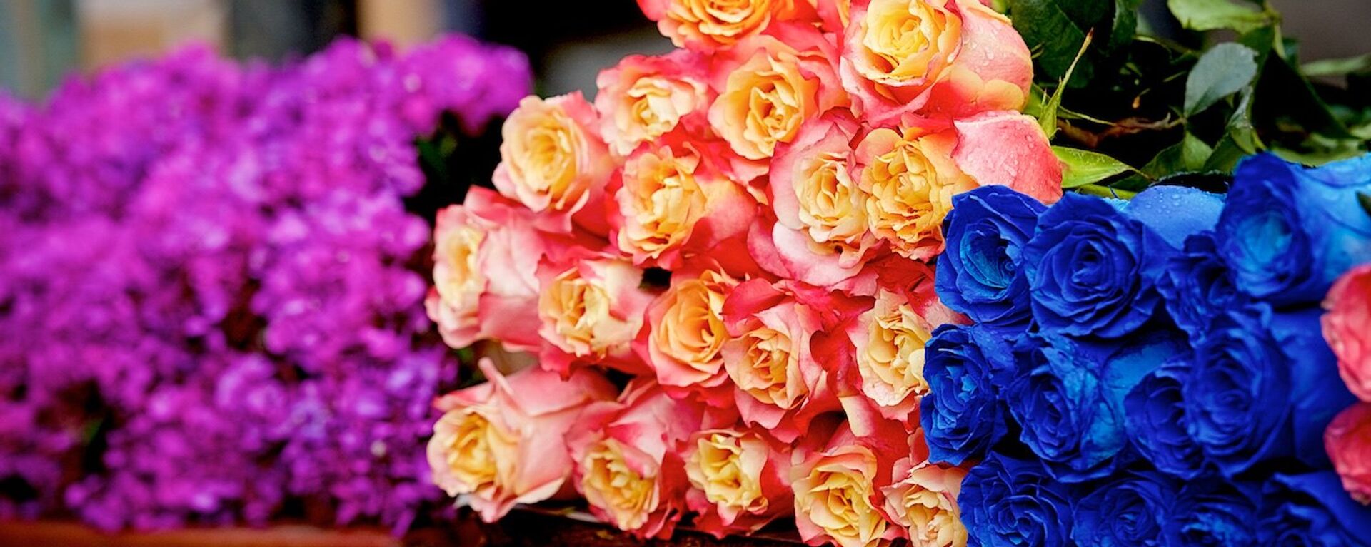 Розы всевозможных расцветок на цветочном базаре - Sputnik Грузия, 1920, 06.03.2017