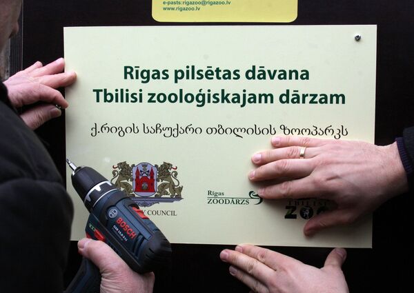 Отправка из Рижского зоопарка верблюдов и лам в Тбилисский зоопарк - Sputnik Грузия