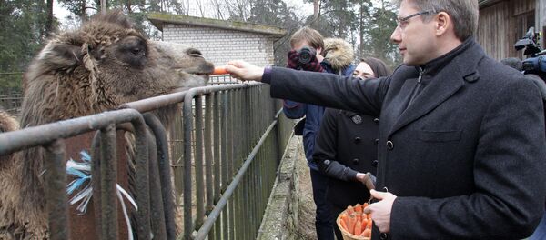 რიგის მერი ნილ უშაკოვი - Sputnik საქართველო