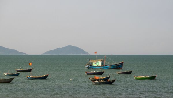 Корабли в Южно-Китайском море в окрестностях Дананга. - Sputnik Грузия