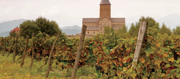 საფერავი - Sputnik საქართველო