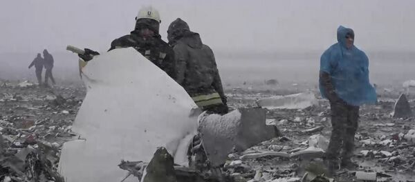 Спасатели собирали обломки Boeing 737-800 в Ростове-на-Дону - Sputnik Грузия