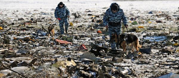 На месте крушения пассажирского самолета Boeing-737-800, который разбился при посадке в аэропорту Ростова-на-Дону. - Sputnik Грузия