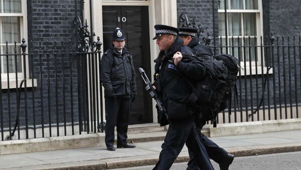 Вооруженная автоматическим оружием полиция Лондона патрулирует улицы города. - Sputnik Грузия