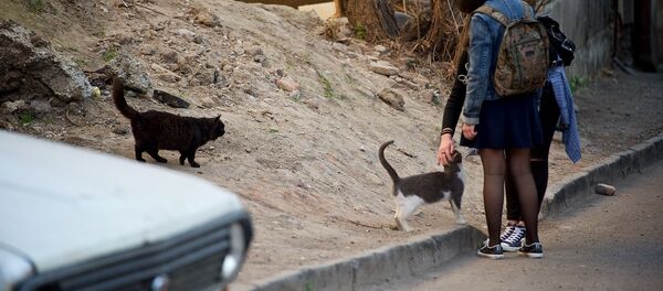 გოგონები ერთ-ერთ პარკში გოგონები ერთ-ერთ პარკში - Sputnik საქართველო