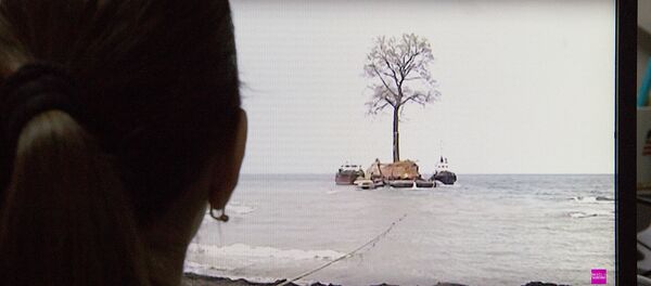 საუკუნოვანი ხის გადატანის კადრები საუკუნოვანი ხის გადატანის კადრები - Sputnik საქართველო