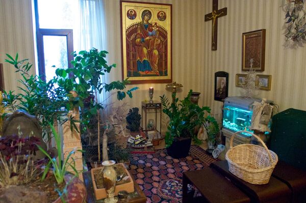 Цветы в оранжерее Патриарха Грузии - Sputnik Грузия