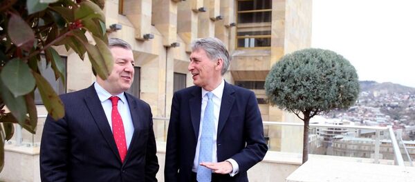 გიორგი კვირიკაშვილი და ფილიპ ხამონდი - Sputnik საქართველო