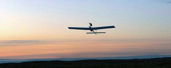 Беспилотный летательный аппарат (БПЛА) - Sputnik Грузия