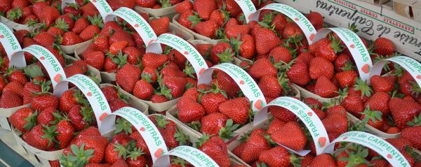 მარწყვი მარწყვი - Sputnik საქართველო