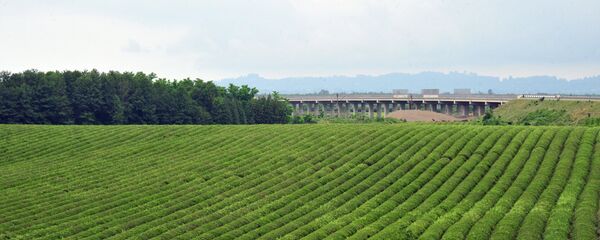 Города мира. Батуми Города мира. Батуми - Sputnik Грузия