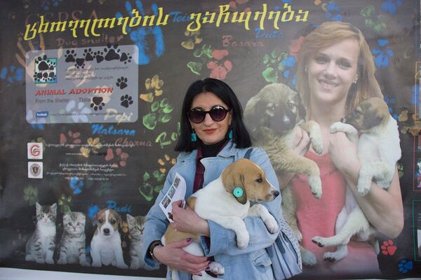 По решению тбилисской мэрии, жителям столицы подарили щенков из муниципального приюта - Sputnik Грузия