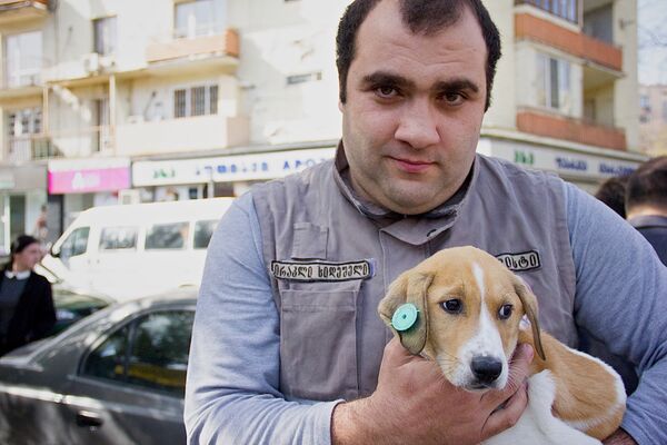 По решению тбилисской мэрии, жителям столицы подарили щенков из муниципального приюта - Sputnik Грузия