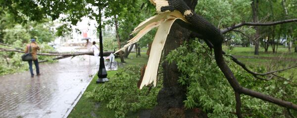 Ветер, ураган - Sputnik Грузия