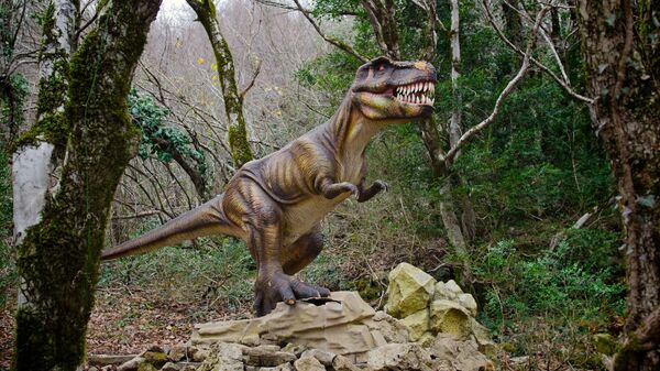 Государственный заповедник Сатаплия около города Кутаиси в Грузии - Sputnik Грузия