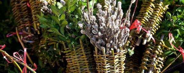 Вербное воскресенье Вербное воскресенье - Sputnik Грузия