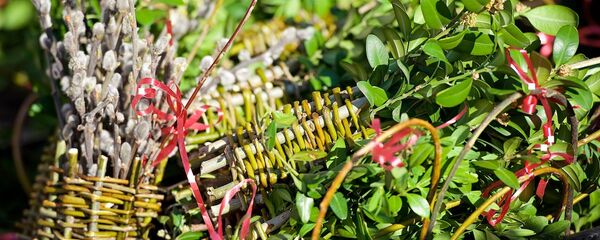 ბზობა - Sputnik საქართველო