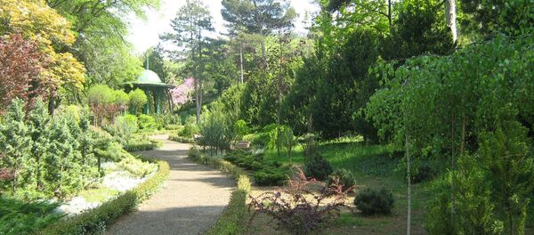 თბილისის ეროვნული ბოტანიკური ბაღი თბილისის ეროვნული ბოტანიკური ბაღი - Sputnik საქართველო