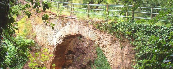 ბოტანიკური ბაღი თბილისში ბოტანიკური ბაღი თბილისში - Sputnik საქართველო