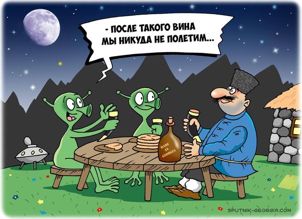 После такого вина мы никуда не полетим - Sputnik Грузия