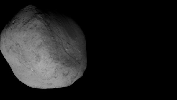 Зонд Stardust сделал снимки кометы Темпель-1 - Sputnik Грузия