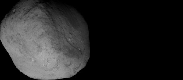 Зонд Stardust сделал снимки кометы Темпель-1 - Sputnik Грузия