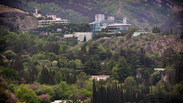 Вид на территорию тбилисского Ботанического сада и деловой центр бизнесмена Бидзины Иванишвили (вверху справа). - Sputnik Грузия