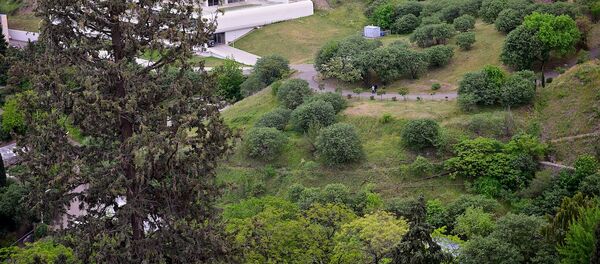 ბოტანიკური ბაღი - Sputnik საქართველო