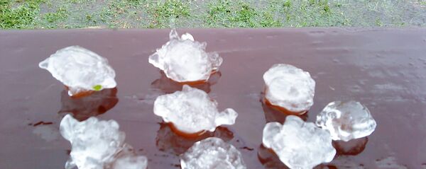 სეტყვა - Sputnik საქართველო