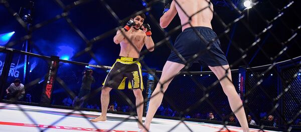 Международный турнир по смешанным единоборствам по версии АСВ - Sputnik Грузия