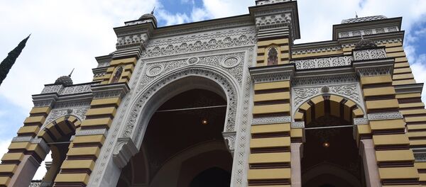 პერფომანსები, გამოფენები, კონცერტები - ოპერის ევროპული დღეები თბილისში - Sputnik საქართველო