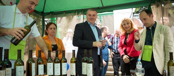 ახალი ღვინის ფესტივალი 2016 - Sputnik საქართველო