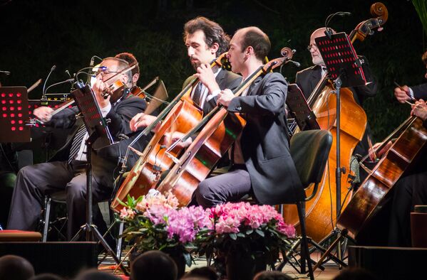 Авторы идеи фестиваля решили, что организованные ими концерты классической музыки будут проходить несколько раз в год в различных уголках земного шара. - Sputnik Грузия