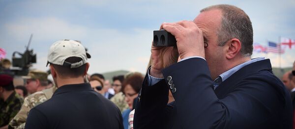 Георгий Маргвелашвили на полигоне в Вазиани - Sputnik Грузия